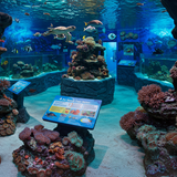 Seychelles Family Adventure image 5 1152x896