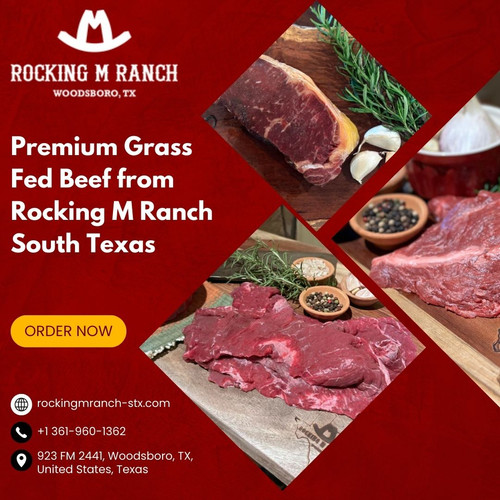 Premium Grass Fed Beef from Rocking M Ranch South Texas.jpg