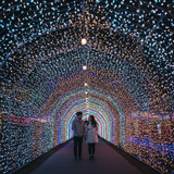 Seoul's Romantic Escapes image 2 1024x768