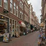 Tulips and Traditions image 5 1152x896