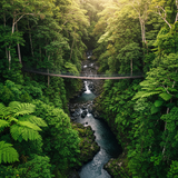 Suva Explorer: Adventure Trails image 1 1024x1024