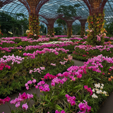 Singapore Garden Getaway image 1 1024x1024