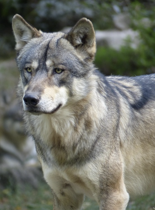 유튜브 캡쳐 이미지.png