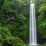 Ultimate Rio Carnival Experience: VIP Access &amp; Luxury Stay image 3 768x1024