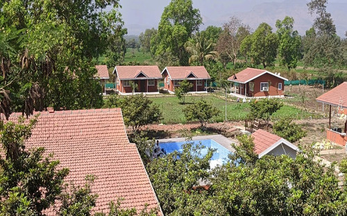 Your New Year Celebration Awaits at Mango Tree Resort – Just Minutes from Delhi!.jpg