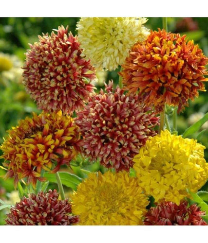 619J3 Et7cL. SL1000 .jpg