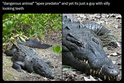 590628139 1164988355815879 1940678402565592385 n.jpg