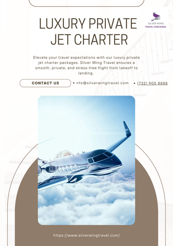 luxury private jet charter.png