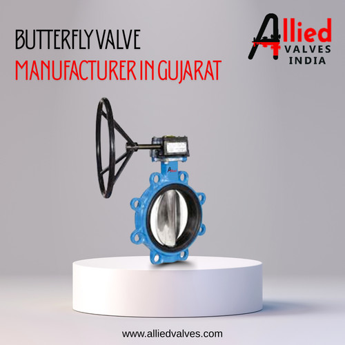Butterfly Valve Manufacturer in Gujarat.jpg
