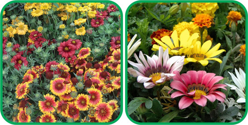 71KF2ZgEpEL. SL1280 .jpg