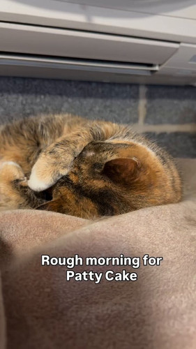 aOokXZ HKXWFhZrE.jpg