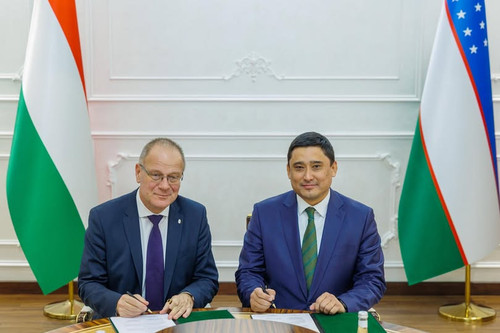 593553263 1437920245007447 7102976588703116110 n.jpg?stp=dst jpg p180x540 tt6& nc cat=101&ccb=1 7& n.jpg