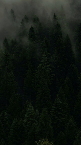 photo 1 2025 12 03 22 21 40.jpg