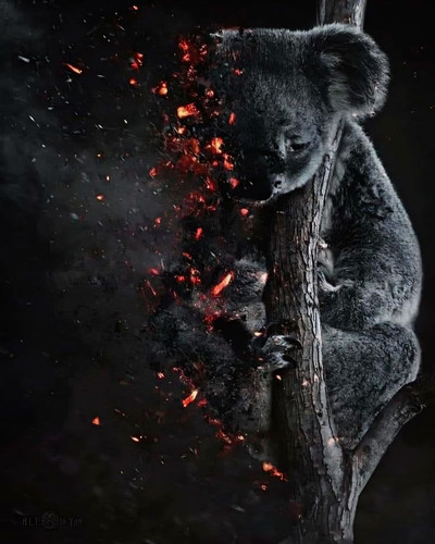 photo 2 2025 12 03 20 21 05.jpg