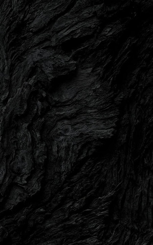 photo 2 2025 12 03 22 21 40.jpg