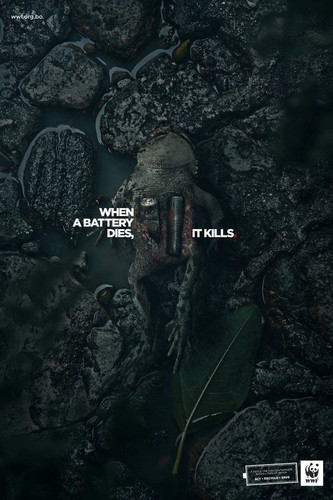 photo 1 2025 12 03 20 21 05.jpg