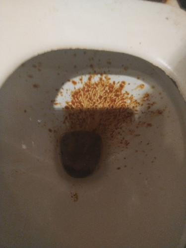 IMG 20251203 204940.jpg