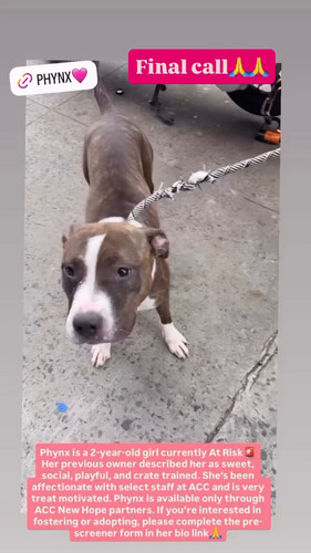 vKC 4Gs4FnsizhGC.jpg