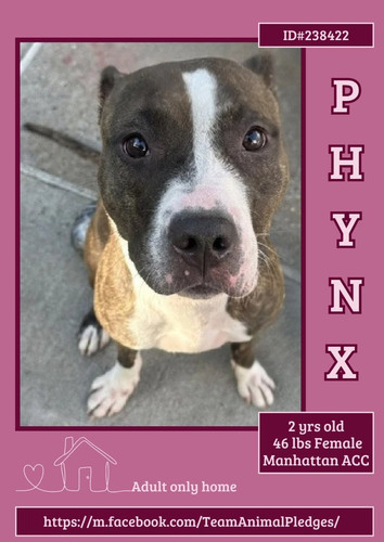 G4HNTo XsAAfL A?format=jpg.jpg