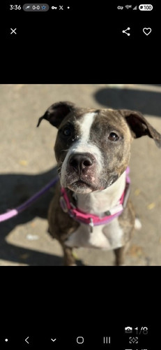 G6d51JrXkAA yTg?format=jpg.jpg