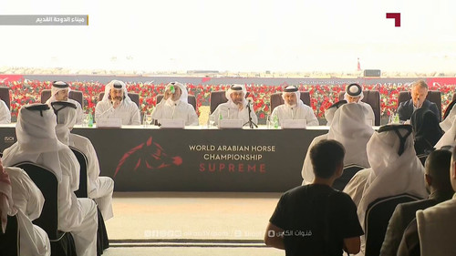 h5u MMxSoU9pOkBL.jpg