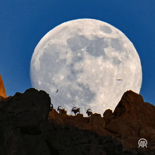 Yhyn3TS Xa1FWCfn.jpg