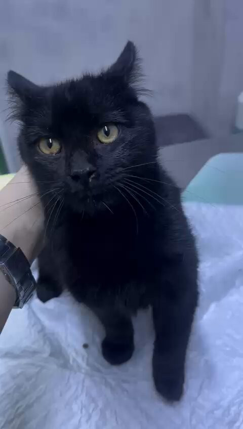 dpFsgmwPcZDfH Ox.jpg