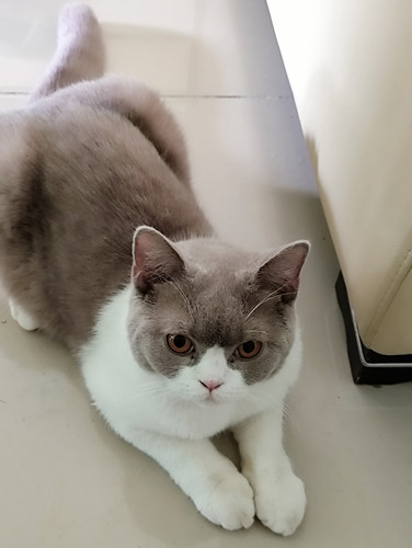 IMG 20251104 135925.jpg