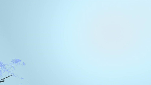 XQ Lzg xbg1Goocj.jpg