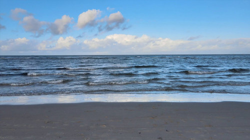 WO1hZrJaA FCGIoF.jpg