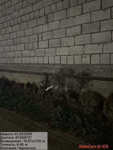 photo 6 2025 12 04 02 42 05.jpg