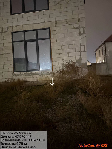 photo 8 2025 12 04 02 42 05.jpg