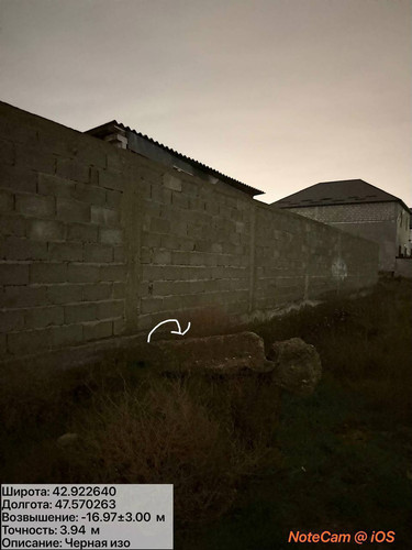 photo 7 2025 12 04 02 42 05.jpg