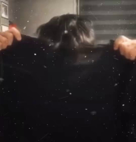 T3YBNSNKLPlrW9eW.jpg