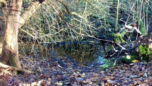 ZKDMK713h WAfeNn.jpg