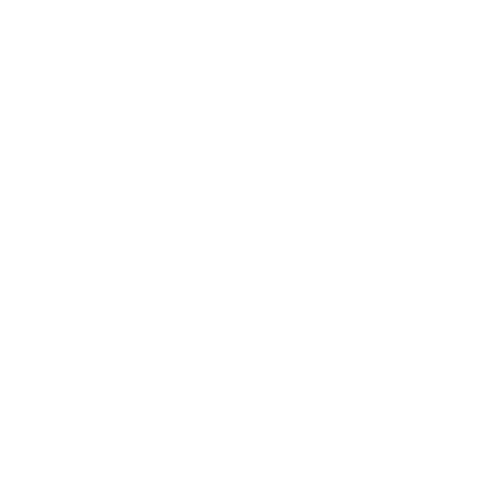 cnnbrasil.png