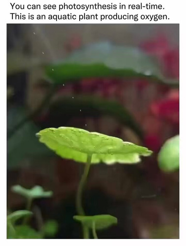  uRmDAiIxrlAYYjZ.jpg