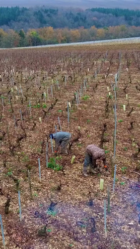 5iPwZ2NDPmbH8uh .jpg