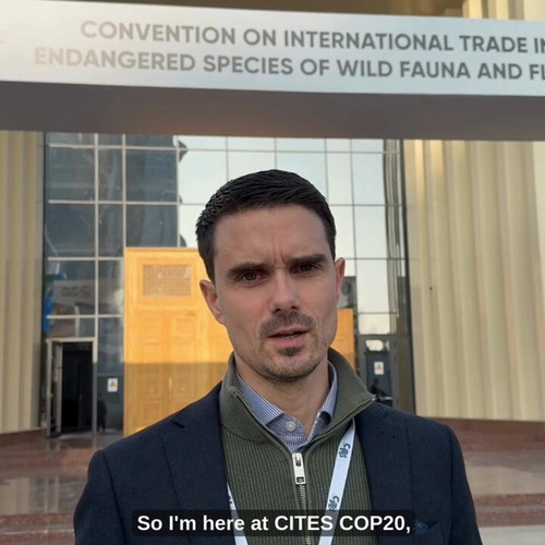 FK URptGDaX9jECN.jpg