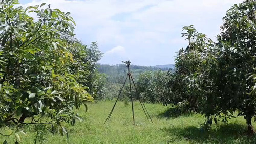 4yCA m4RjTf0y72k.jpg