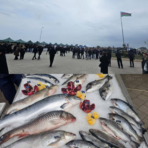 uRJC8pcF0yKCoxs4IBwgn2EUp u c0 hdfqZOpBuHnZkrIYqkfNgvrj41Ad18qqPMce0J2IQa6TNDYqUwYVSrJ6aY0w Le qxaos.jpg