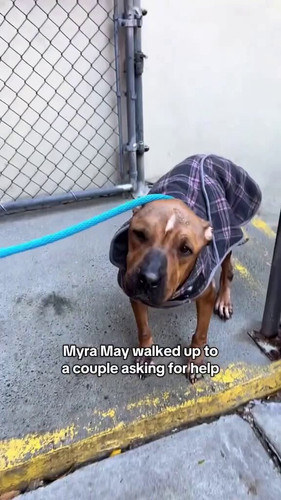 aUcffAofH xDd4pe.jpg