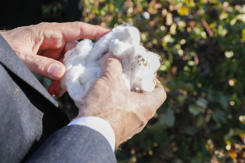 G7T2qbfWsAAUyuV.jpg