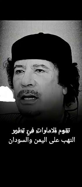 IH3wFZ lEvUa14x1.jpg