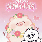 GIF 20251204231245791.gif