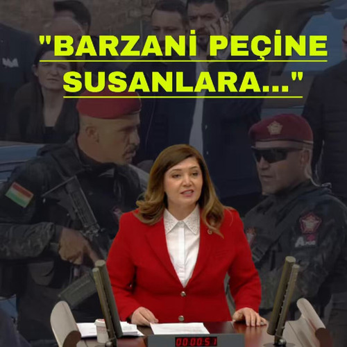 Zd4E96El6HmhdYM6.jpg