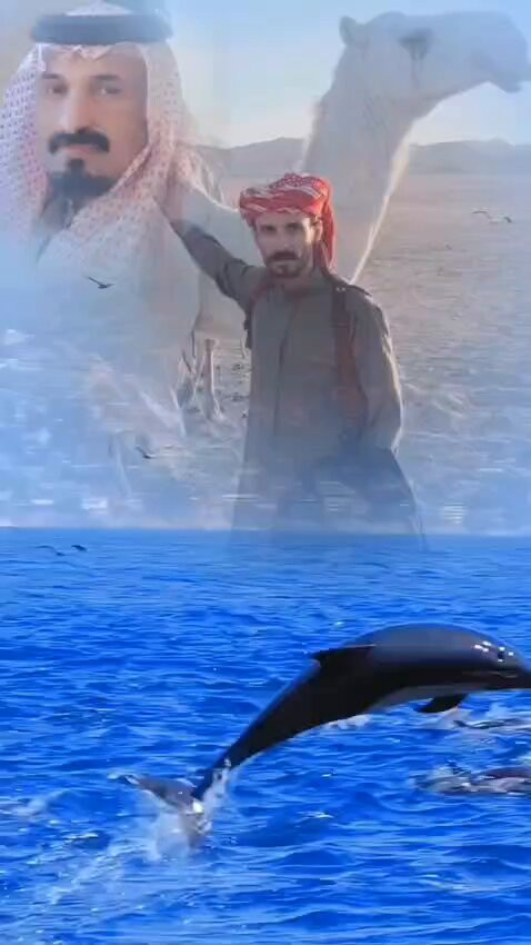 nt6IQRBcAyNUUG2F.jpg