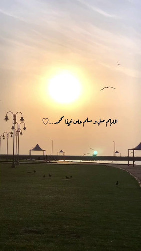 wga8kNOc35wgDOZ .jpg