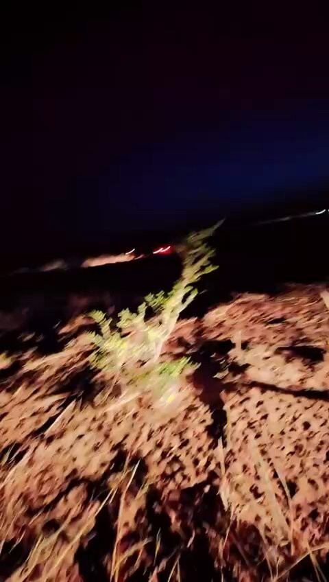 e0cwy6U1 r9PvuxJ.jpg