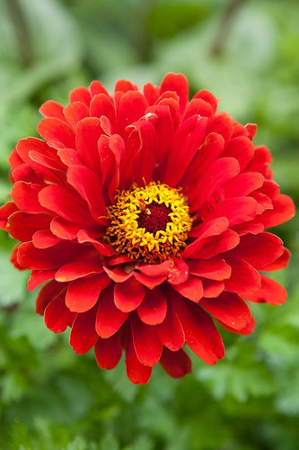 610CKc2PGbL. SL1024 .jpg